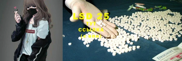 PSILOCYBIN Вяземский