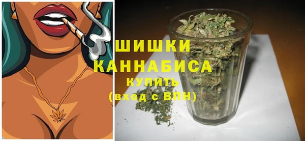 PSILOCYBIN Вяземский