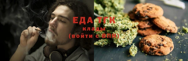PSILOCYBIN Вяземский