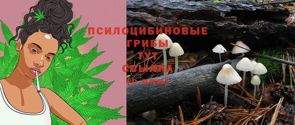 ALPHA PVP Горняк