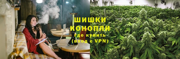 PSILOCYBIN Вяземский
