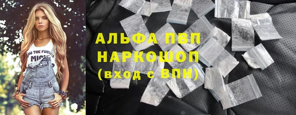 PSILOCYBIN Вяземский